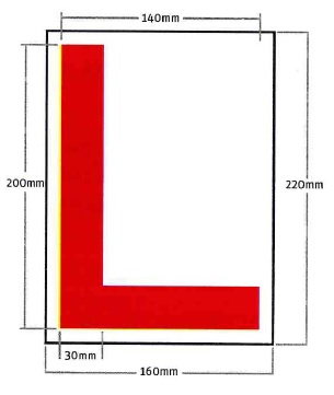learners license test